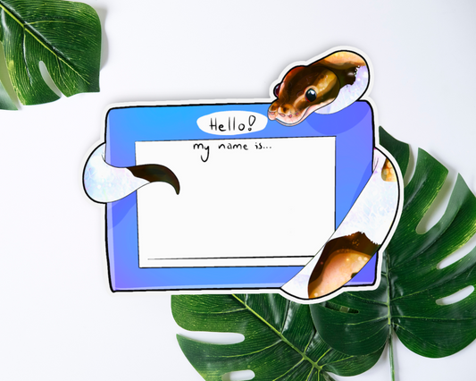 Pied Ball Python Name Tag Sticker 4"x4"